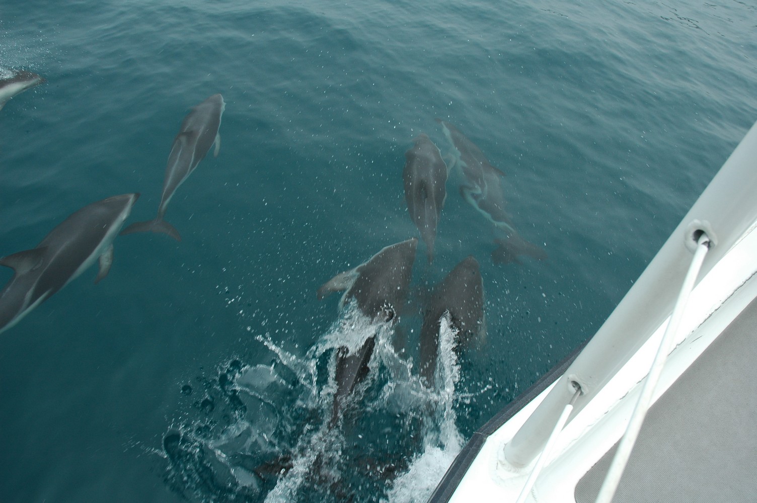 198   30 01   Kaikoura